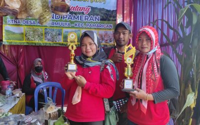 Gapoktan Desa Mekarmulya Juara